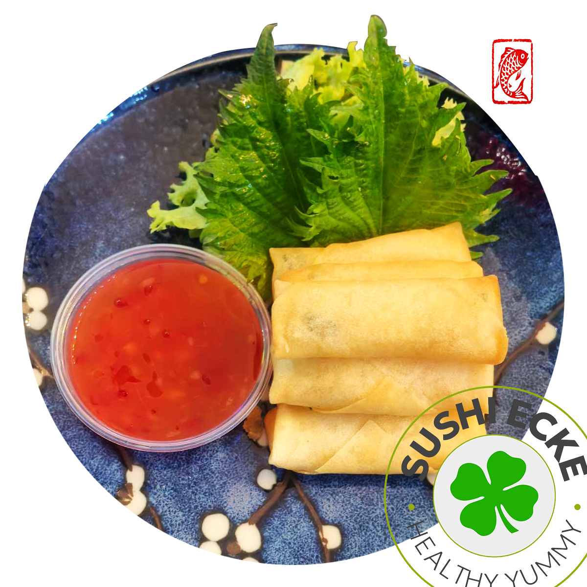 v3 mini rollen (6 stück)